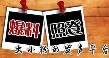 到哪里新闻爆料,追踪真相,守护公正  第1张 到哪里新闻爆料,追踪真相,守护公正  第1张